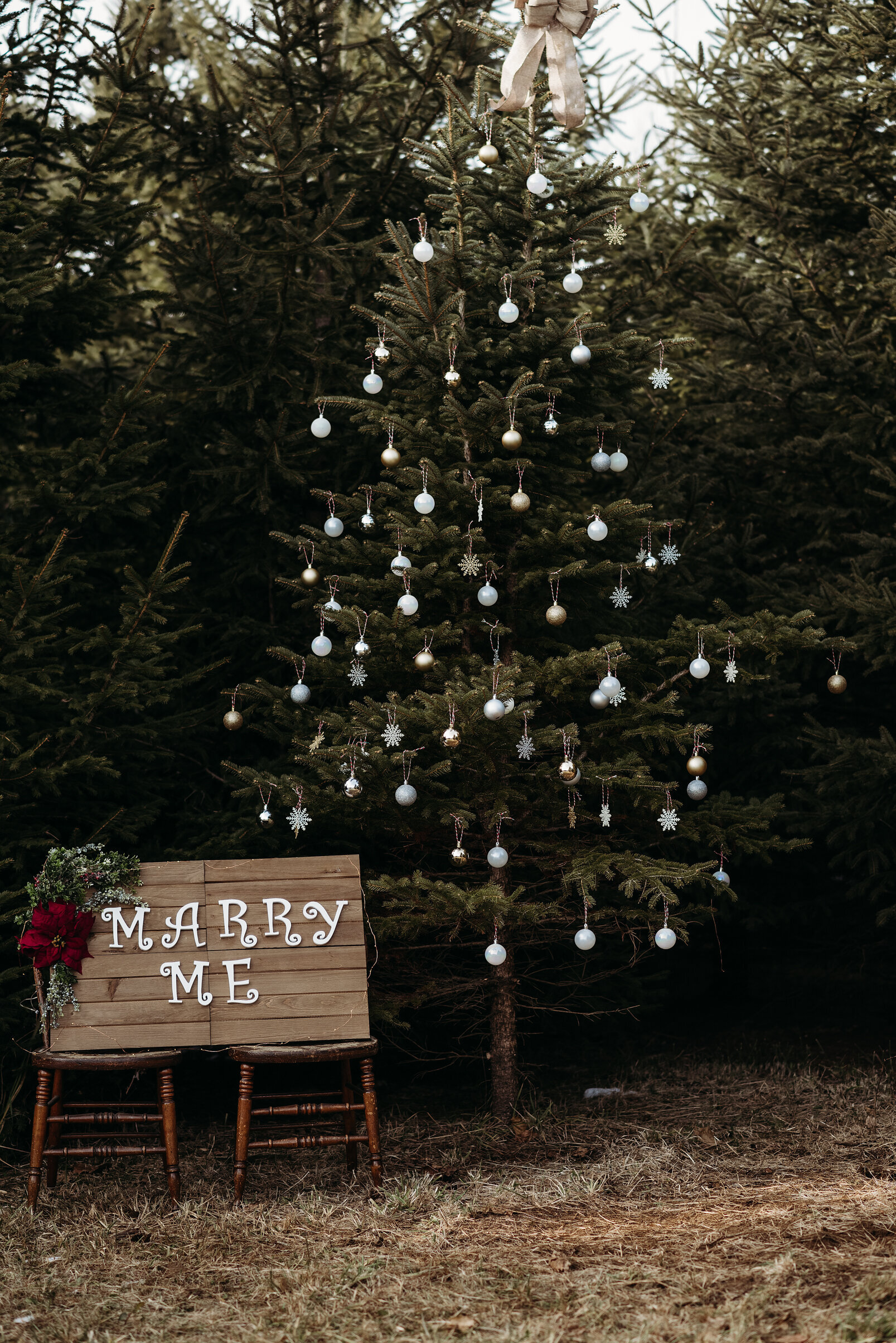 decorated-christmas-tree.jpg